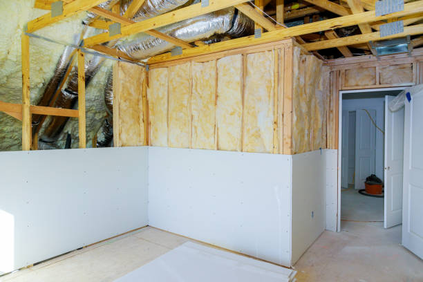 Best Spray Foam Insulation  in South Barrington, IL