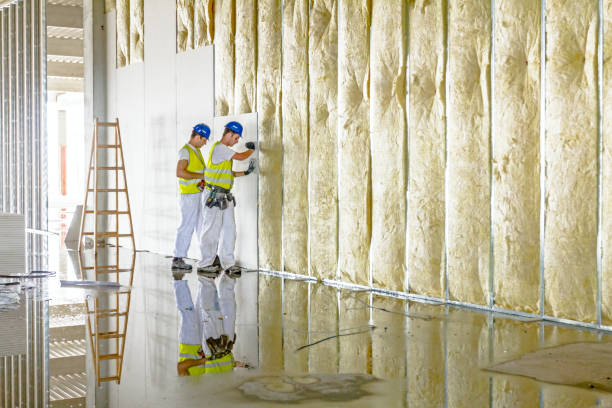 Best Wall Insulation Installation  in South Barrington, IL